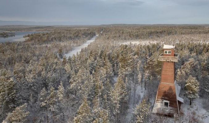Norveç'ten Rus sınırına tel örgü planı